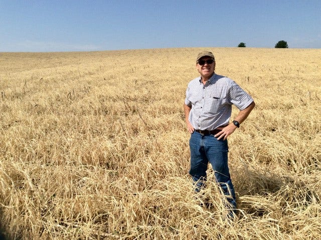 Man standing in a field